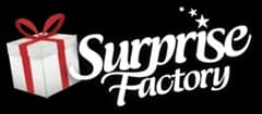 Buy a Surprise Factory Gift Card top up online